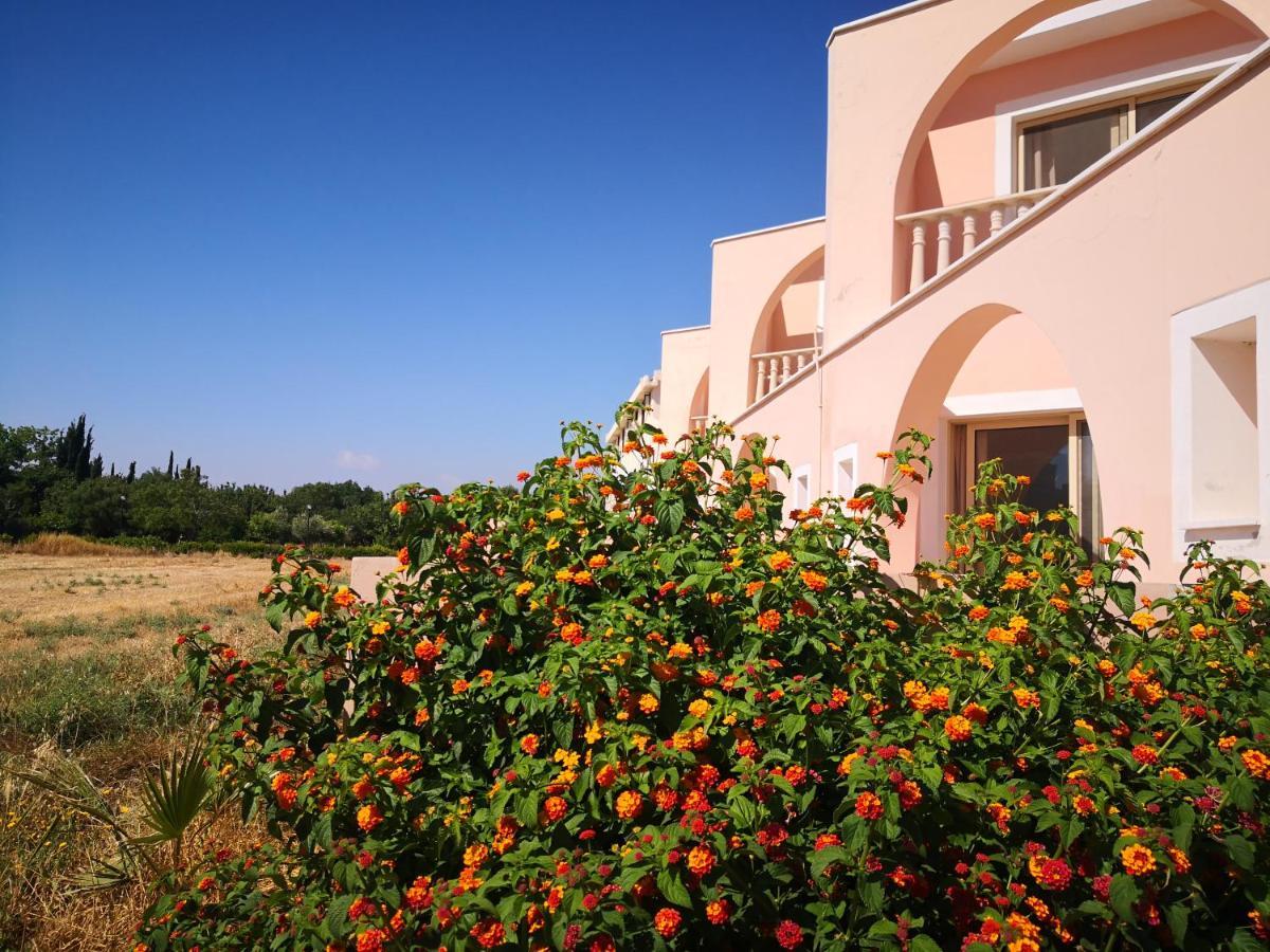 Seashell Apartments Paphos Eksteriør bilde